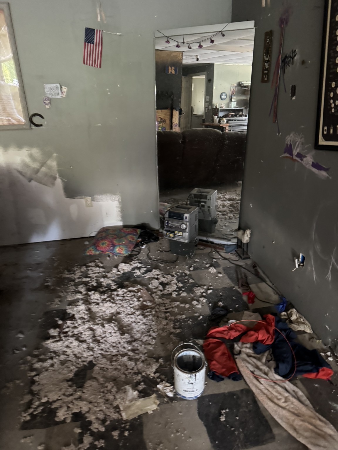 House clean out before photo